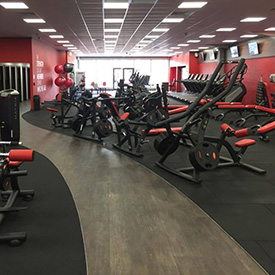 Bear Fitness exercise equipment